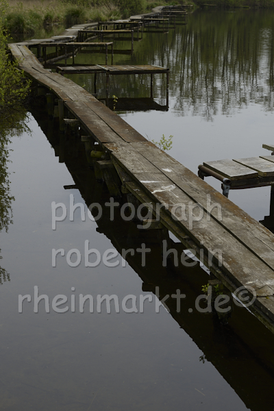 Bob_0127t